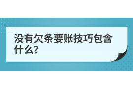 同事催收电话怎么报警？了解维权途径，维护自身权益